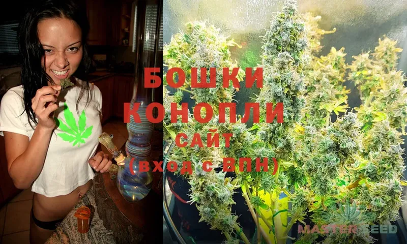 закладка  Кинель  Конопля SATIVA & INDICA 